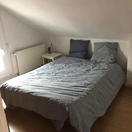 Apartment Sous Les Toits Arverne