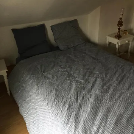 Apartment Sous Les Toits Arverne